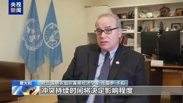 视频丨联合国粮农组织首席经济学家：中东冲突推高农业生产成本