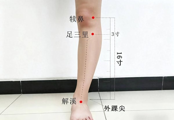 经络淤堵藏百病！五个随身排污穴，日常按揉排浊，疏通经络少生病