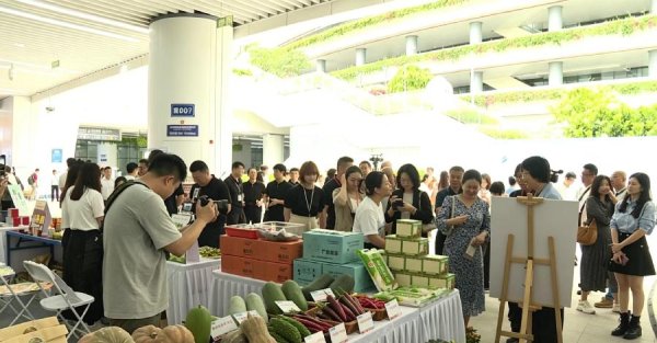 美丽健康带回家！六大本土品牌汇聚白云站“大合唱”，首批产业游学线路发布
