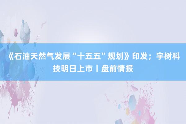 《石油天然气发展“十五五”规划》印发；宇树科技明日上市丨盘前情报