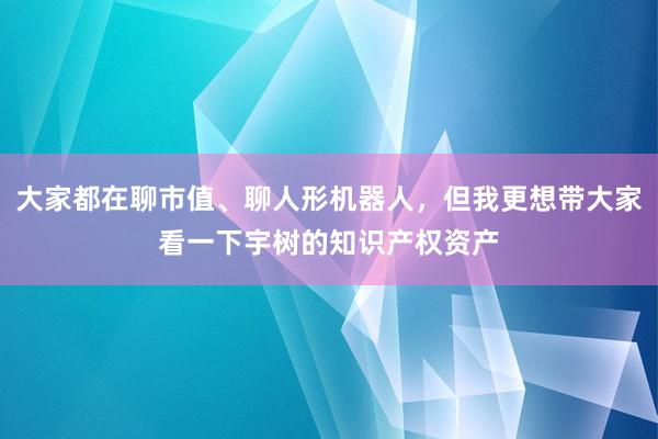 大家都在聊市值、聊人形机器人，但我更想带大家看一下宇树的知识产权资产