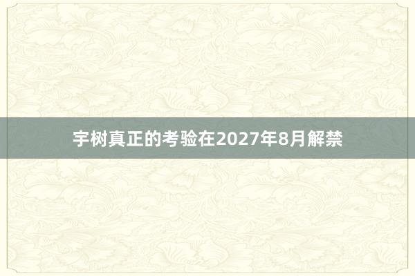 宇树真正的考验在2027年8月解禁