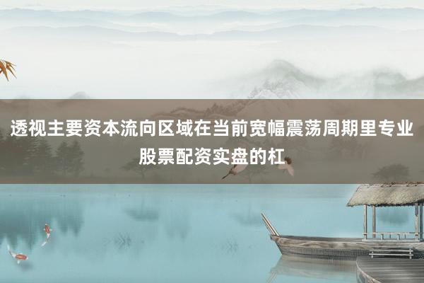 透视主要资本流向区域在当前宽幅震荡周期里专业股票配资实盘的杠
