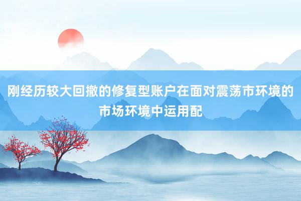 刚经历较大回撤的修复型账户在面对震荡市环境的市场环境中运用配
