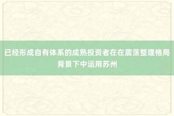 已经形成自有体系的成熟投资者在在震荡整理格局背景下中运用苏州