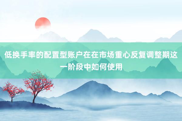 低换手率的配置型账户在在市场重心反复调整期这一阶段中如何使用