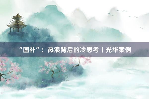 “国补”：热浪背后的冷思考丨光华案例