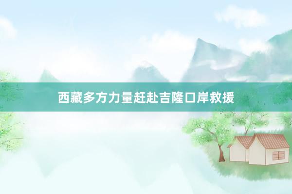 西藏多方力量赶赴吉隆口岸救援