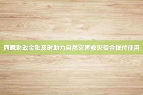 西藏财政金融及时助力自然灾害救灾资金拨付使用